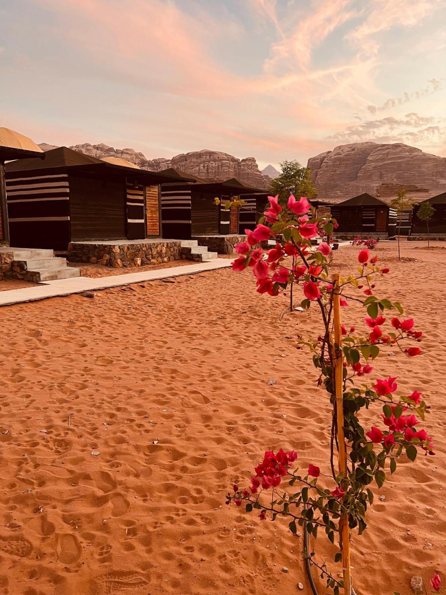 Revan Rum Luxury Camp Wadi Rum Luaran gambar