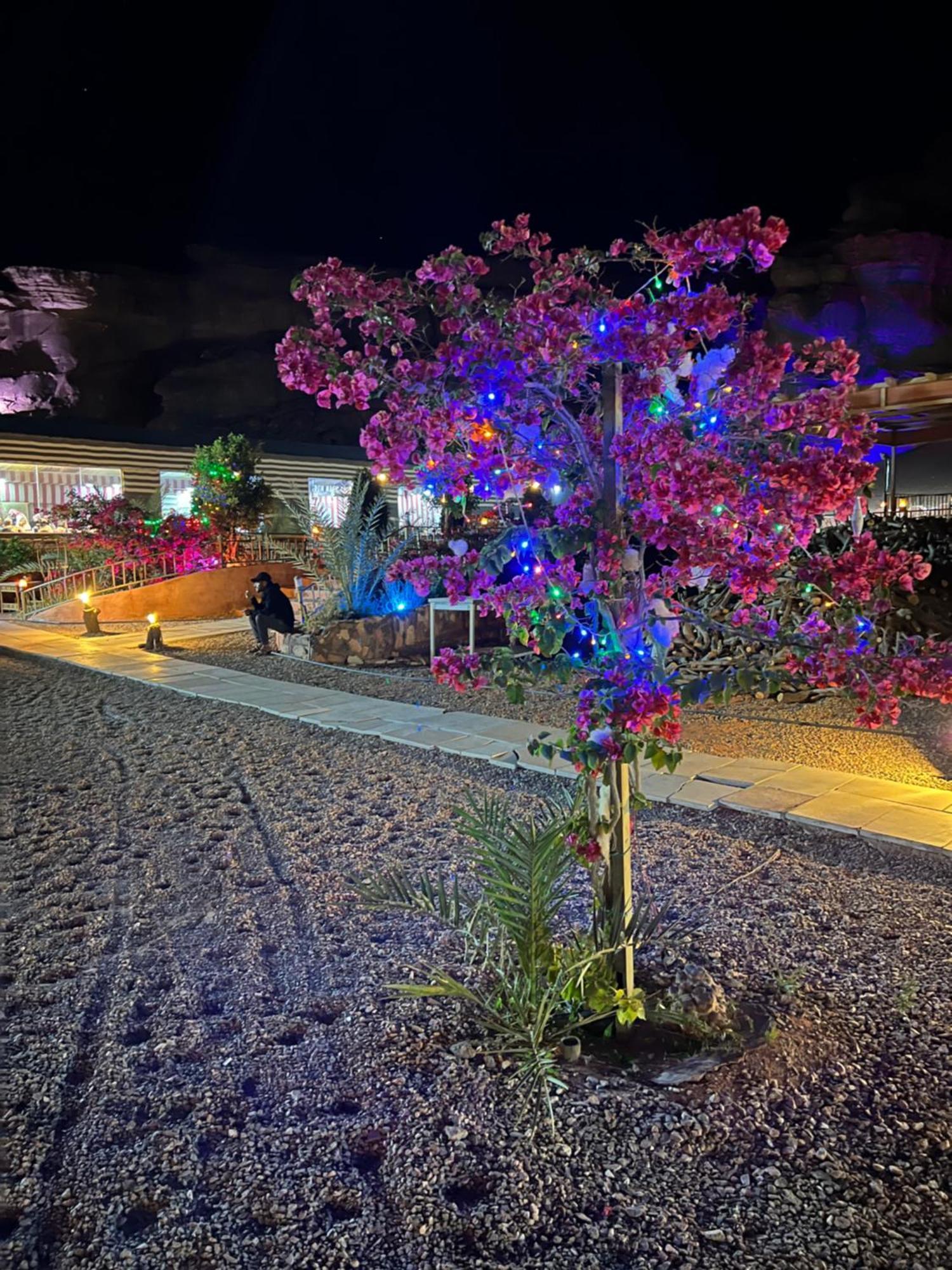 Revan Rum Luxury Camp Wadi Rum Luaran gambar